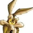 [CV]Biggs