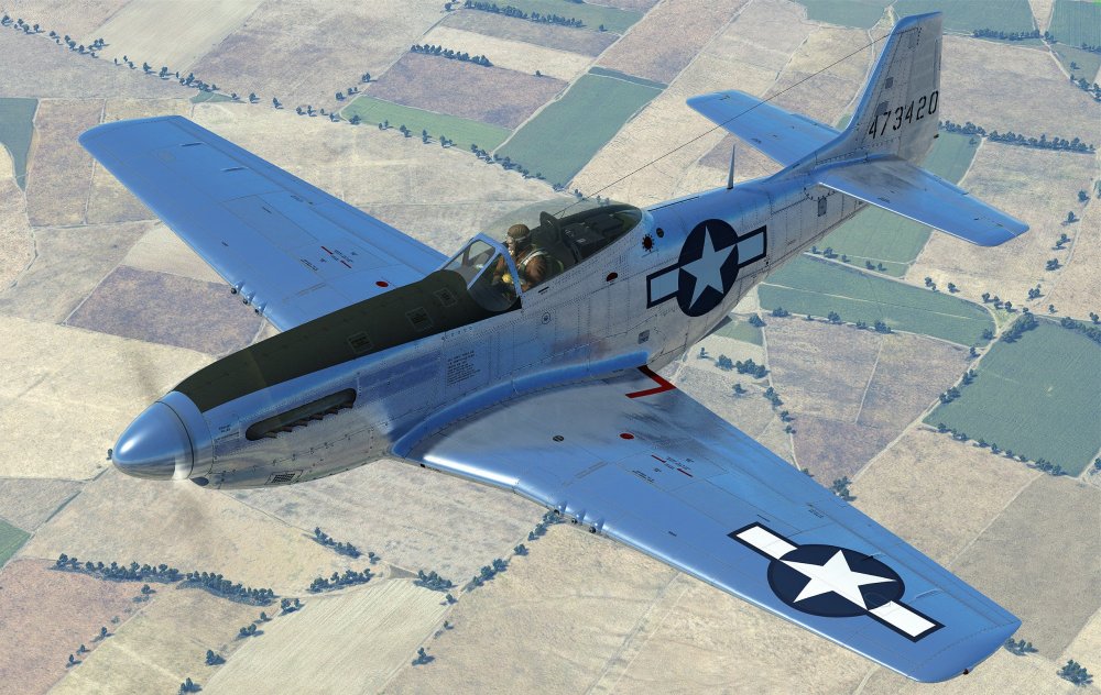 Toms Clean 51 New.jpg