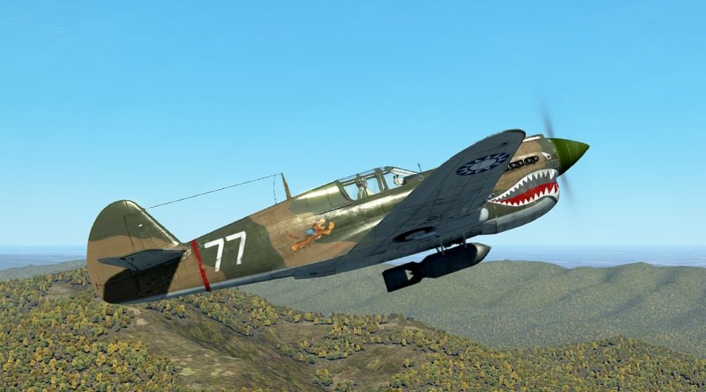 Curtiss_P-40E_IL2.jpg