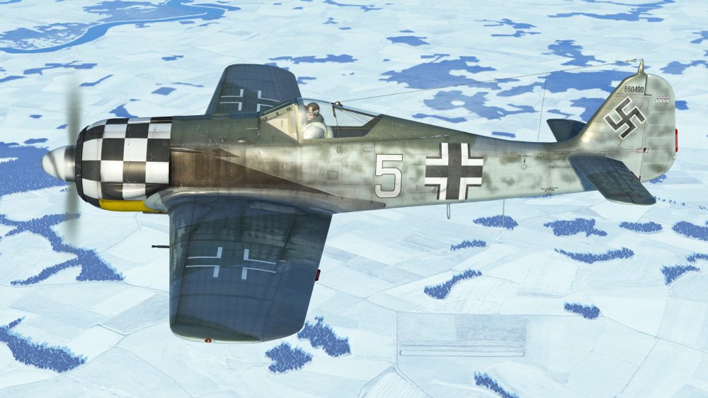 fw190A5_HK.thumb.jpg.9d59fadc6654579b3ad08a29d208cb3c.jpg