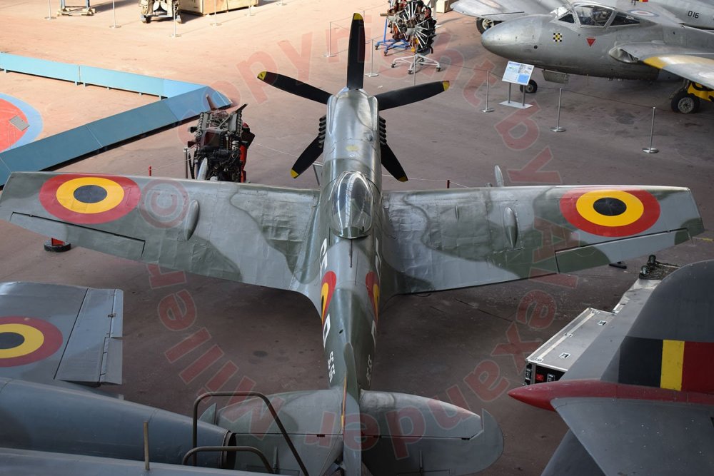 0178-supermarine-spitfire-mk-xiv-walkaround.thumb.jpg.4d0220a8331c7254b9bf87be3747361d.jpg