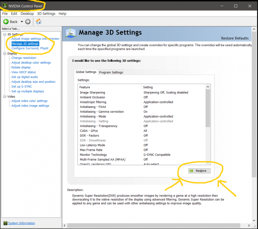 Nvidia Settings.png