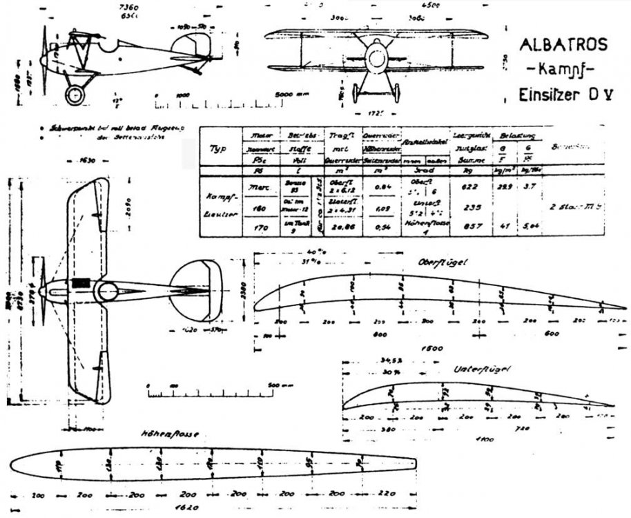 Albatros_D.V_dwg.jpg