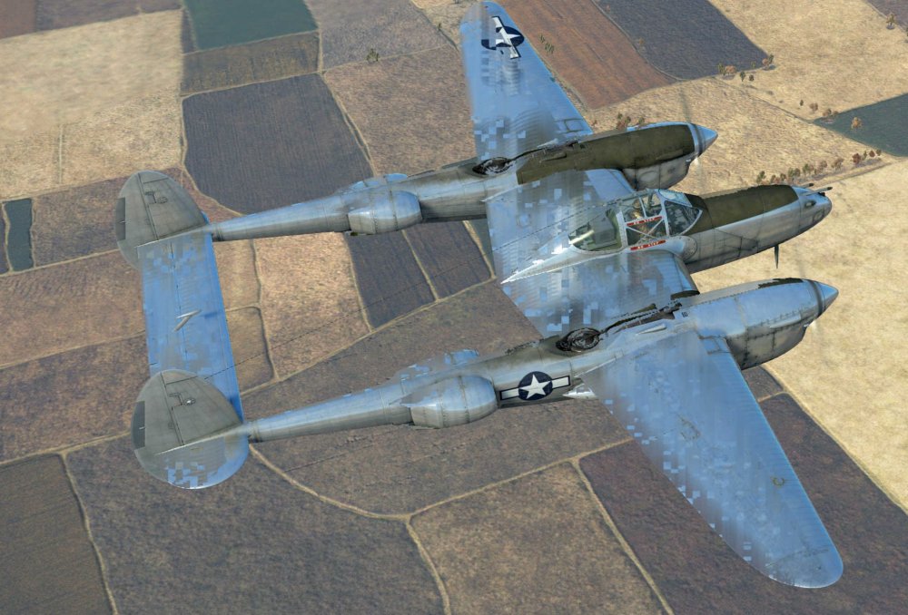 IL2_4006-Bug1.jpg