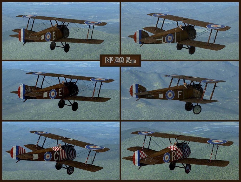 No28Sqn_02_brown.thumb.jpg.820bcfe6db98bcb548dc6908700b7e0b.jpg