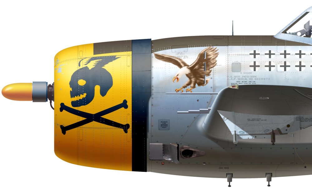 p-47.cu.12.jpg