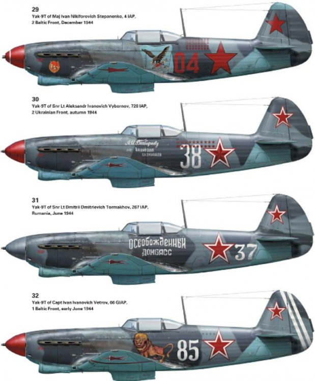 yak9-4.jpg