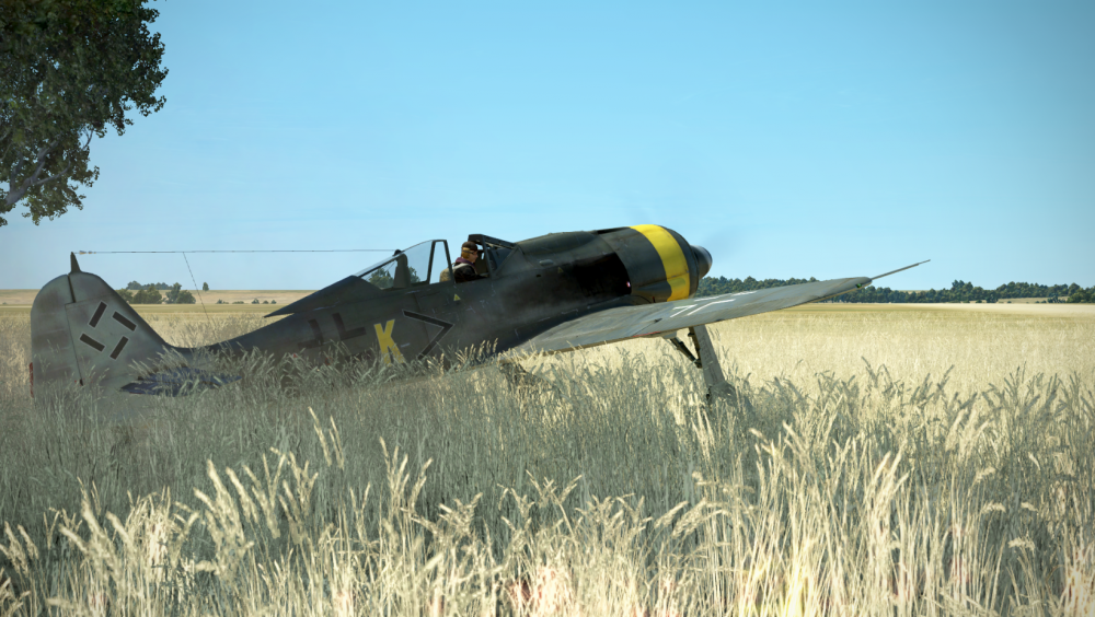 Fw 190 e run.png