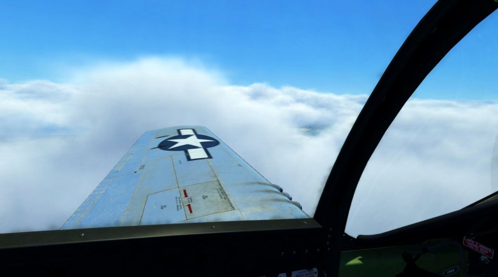 Fringe around wing.JPG