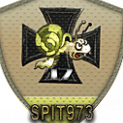 spit973