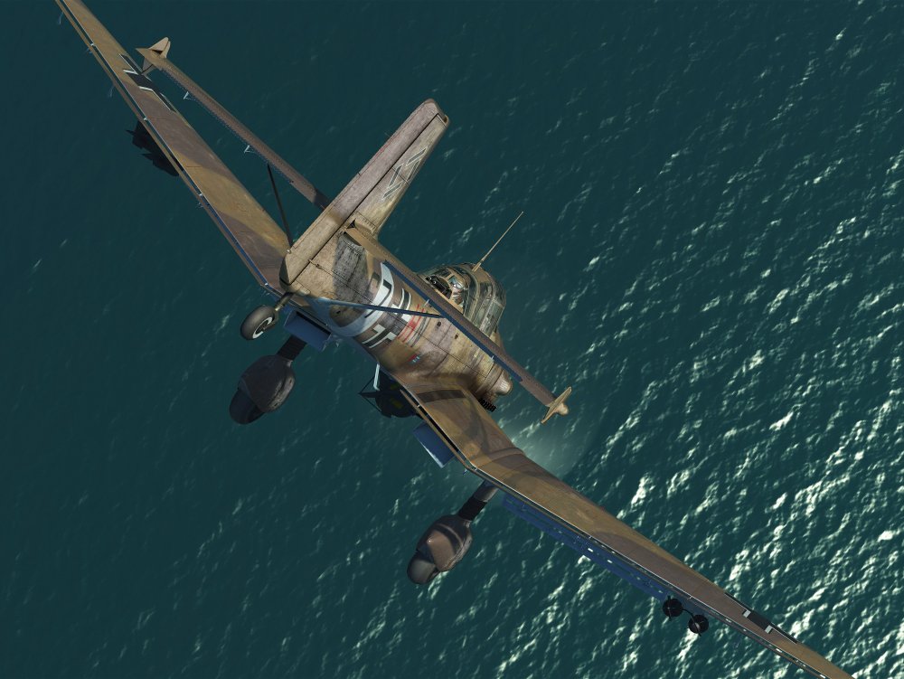 Stuka.thumb.jpg.e987cac00b1c9a9d0766c06722794c51.jpg