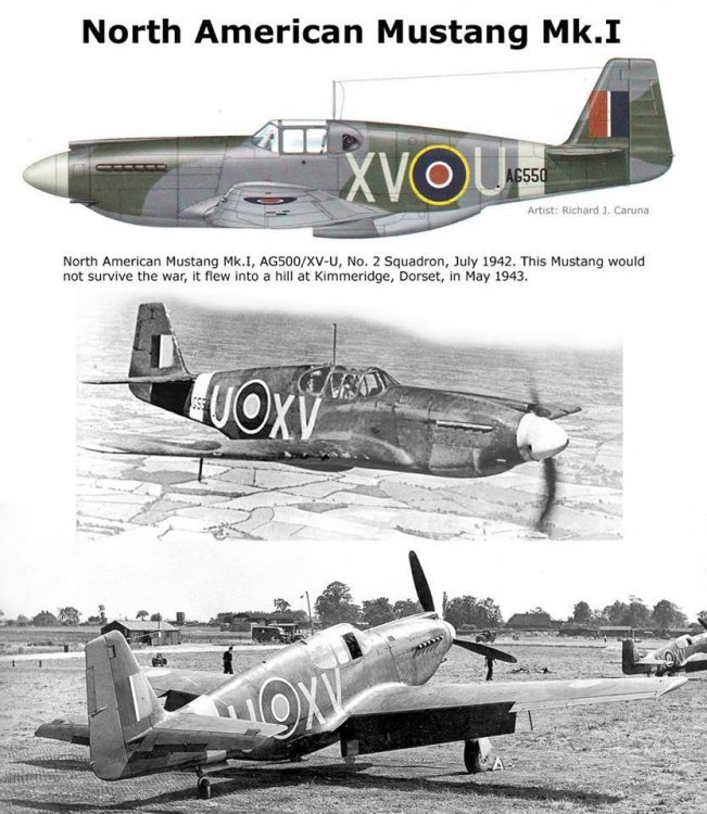 p-51mu.thumb.jpg.318b6b425073af7fc87d84d6093898ae.jpg