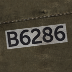 RNAS10_Oliver