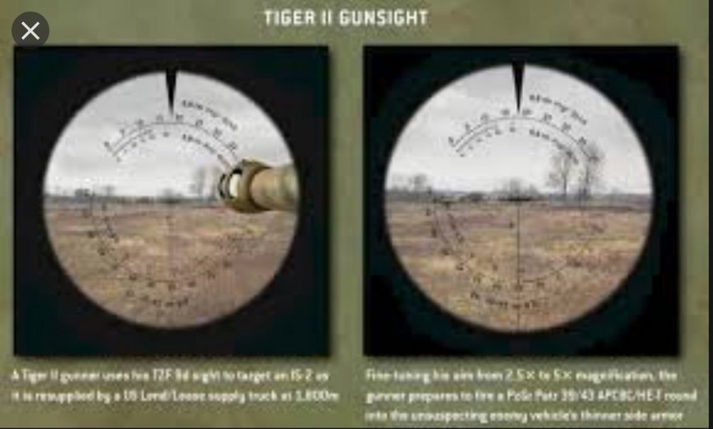 Tiger sight.jpeg