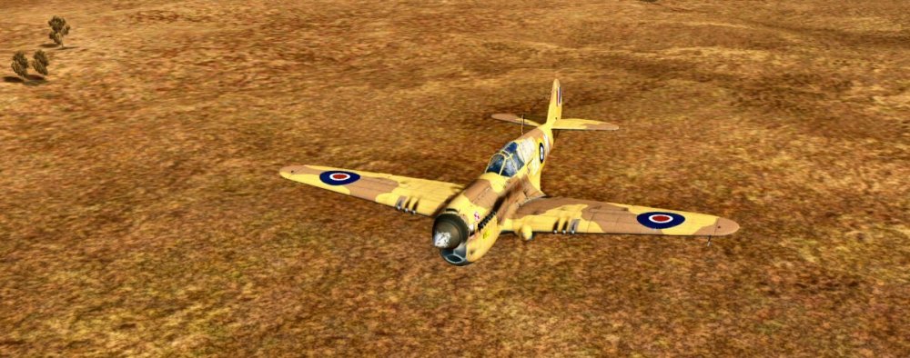 BETA DESERT_KUBAN.jpg