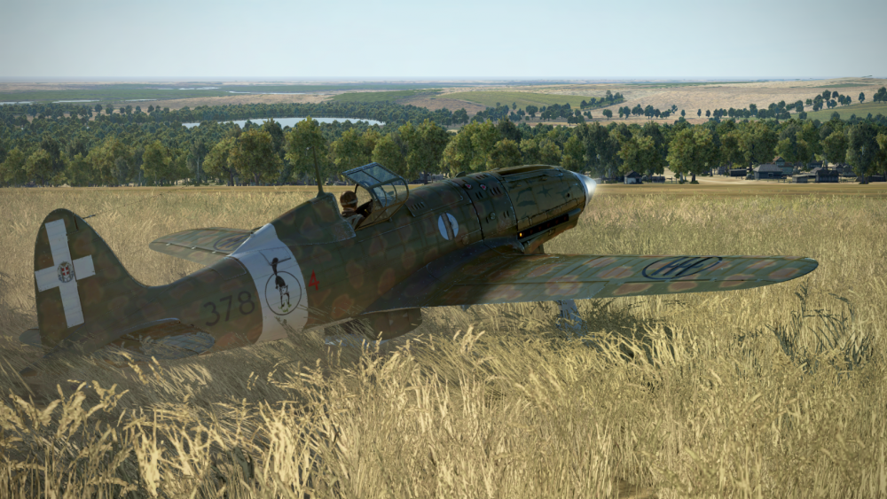 Macchi 202 dispersed.png