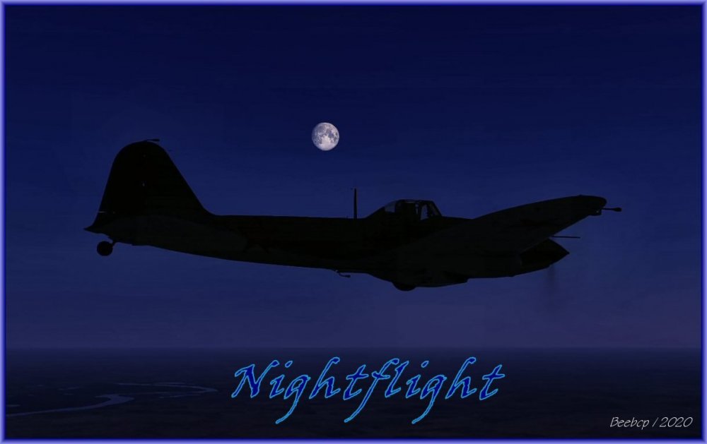 Nightflight.jpg