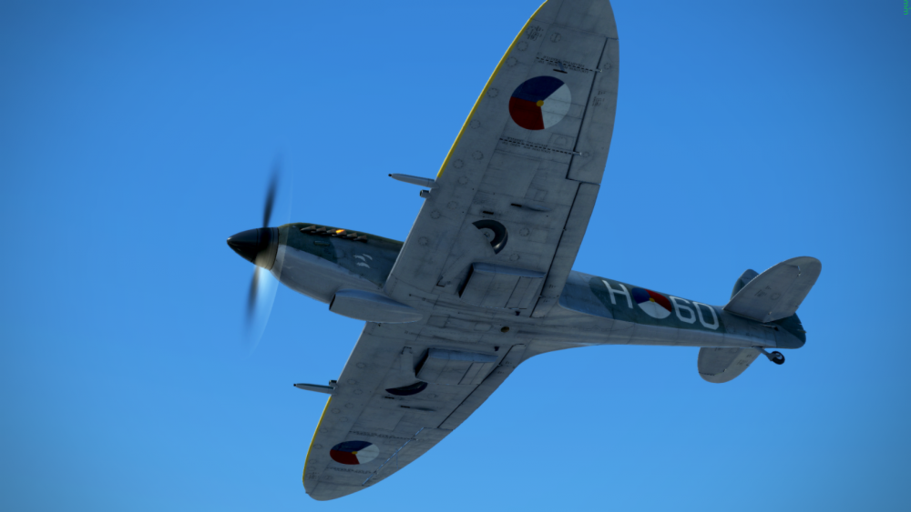 Spit roundels under.png