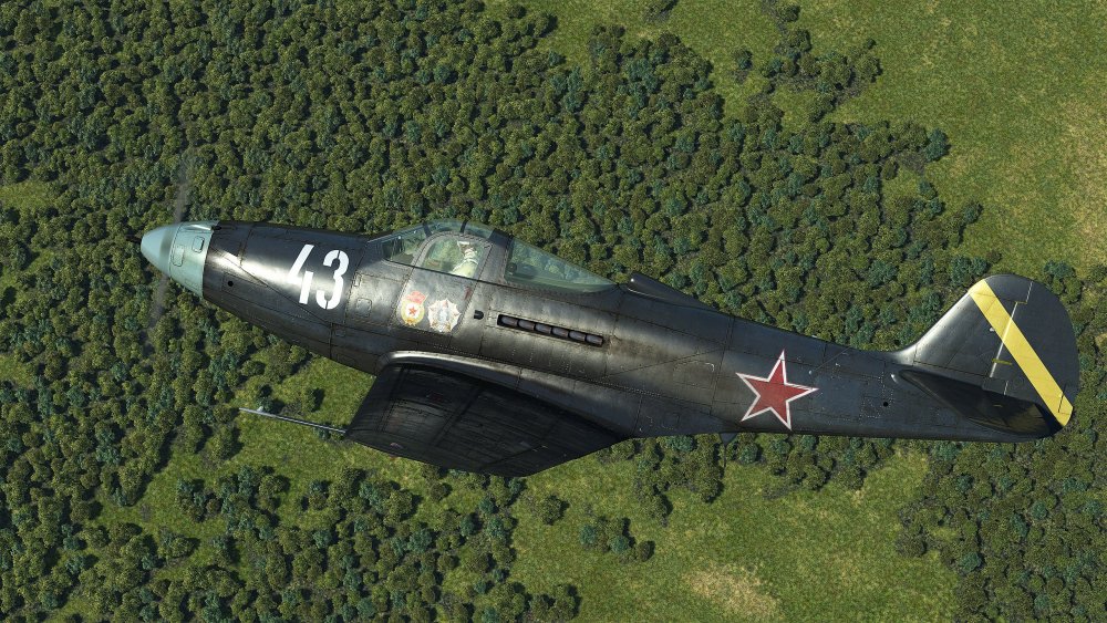 P-39 Black.jpg