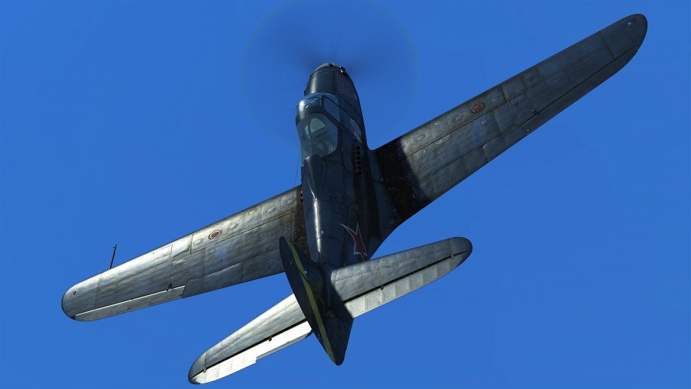 P-39 Black_2.jpg