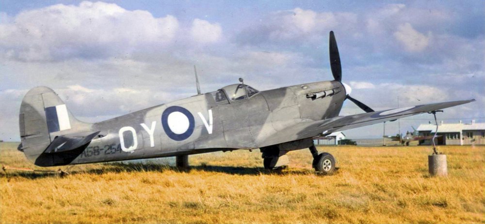574560755_spitfire2.thumb.jpg.046d85de89422542e0c46a4e87c2bc55.jpg