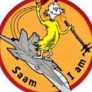 SAAM*I*AM