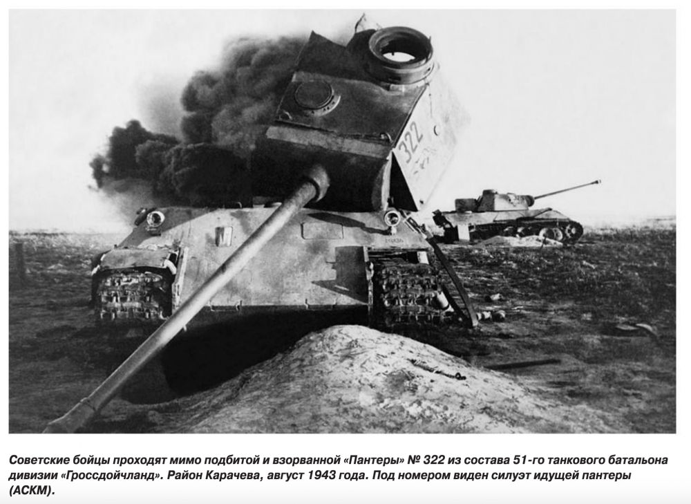 Panther_322.thumb.png.4fda14e09a5284cce68642dffe35c6b2.png
