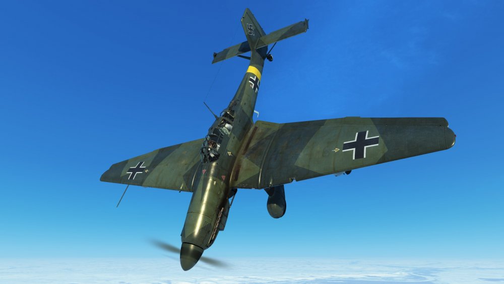 stukaH2.thumb.jpg.5b82ffe80cb0bd368db8e1a6f3d720b8.jpg