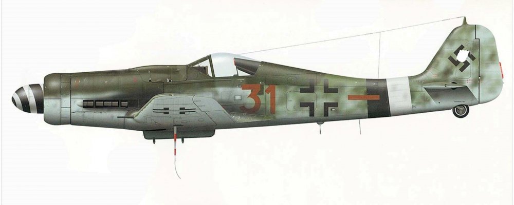 Focke-Wulf-Fw-190D9-7.JG26-Brown-31-Wlater-Stumpf-Germany-Feb-1945-Eagles-Illustrated-P37 (2)_LI.jpg