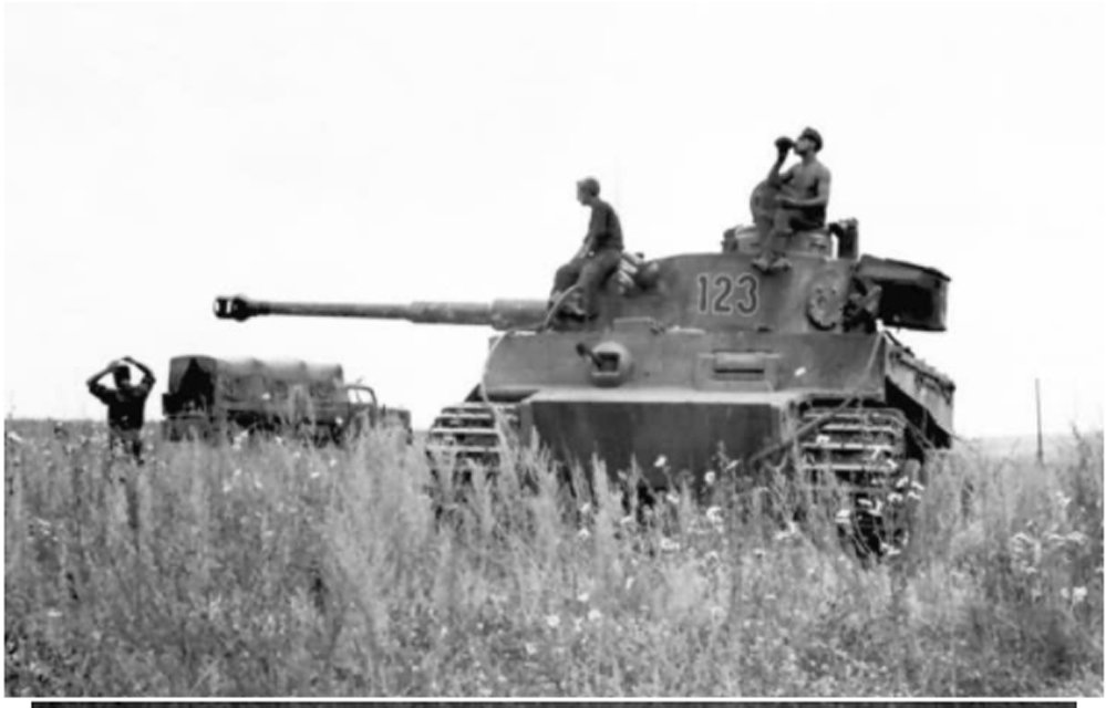 1758206136_tiger123503kursk.jpg.07c763fc7c41bc9cd9827f515d914e9f.jpg