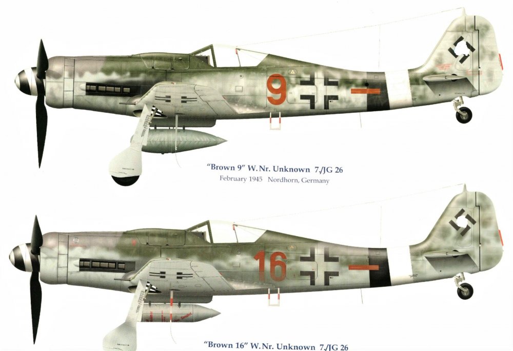 IMAG0034 FW-190D-9 Brown_ JG26_LI.jpg