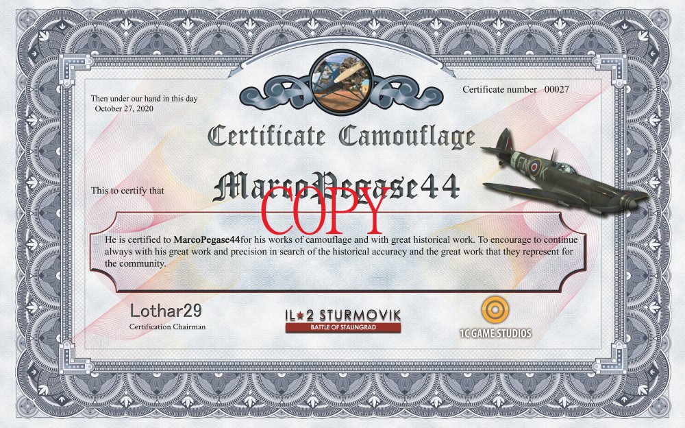 2020681767_CertificateskiningMarcopegase44.thumb.jpg.cb387490b6f085b97a223485c6669401.jpg