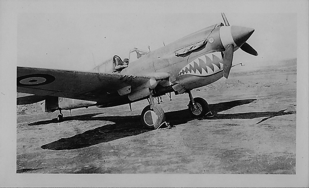 P-40 Warhawk Filtered.jpeg