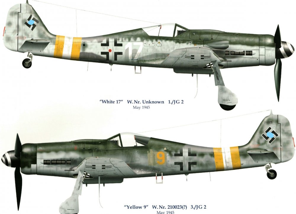 InkedJG 2_white 17_yelw 9_FW-190D-9 resized_ed.jpg