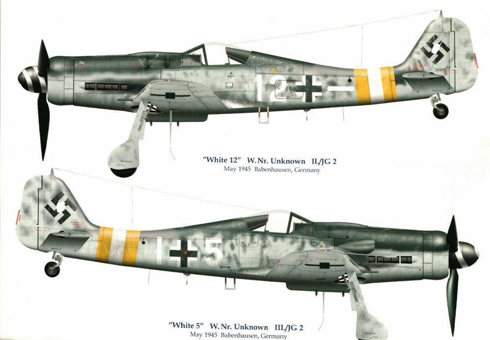 JG 2_White 12_5 FW-190D-9_MP4 resized.JPG