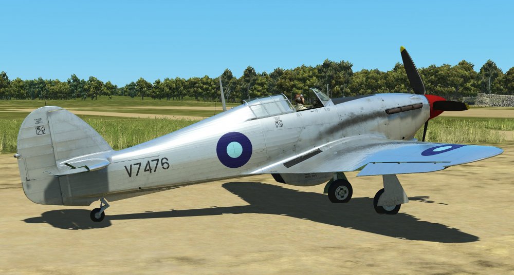 Bare Metal Hurricane_1.jpg