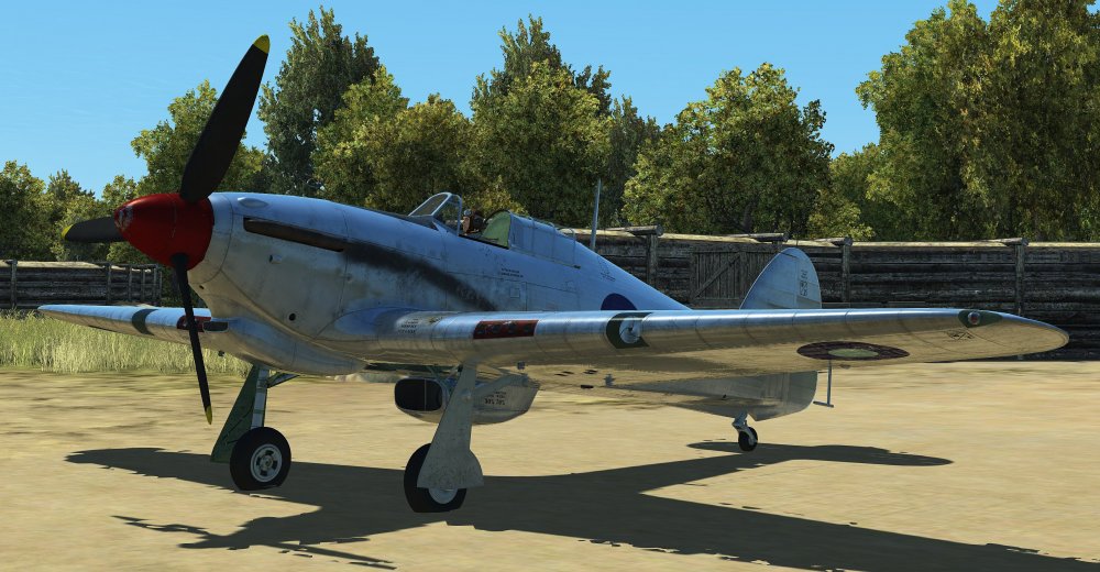 Bare Metal Hurricane_2.jpg