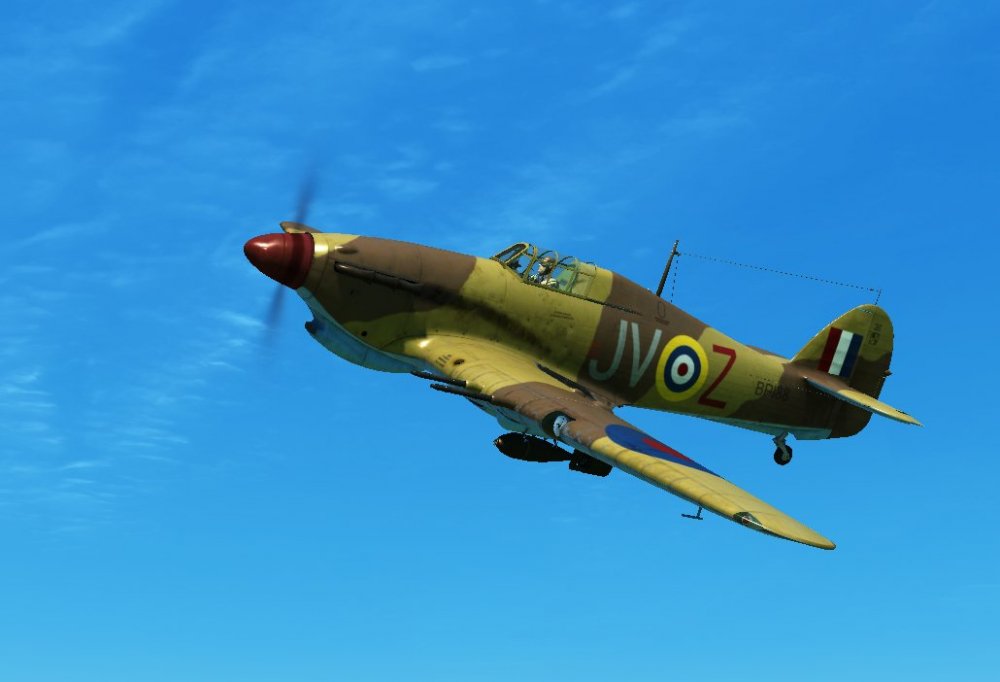 2020_11_8__17_36_53 copy.jpg