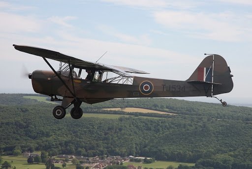 Auster.jpg.002b2efe31ad386c6b4883670b7bd8a8.jpg