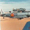 FranT6Texan