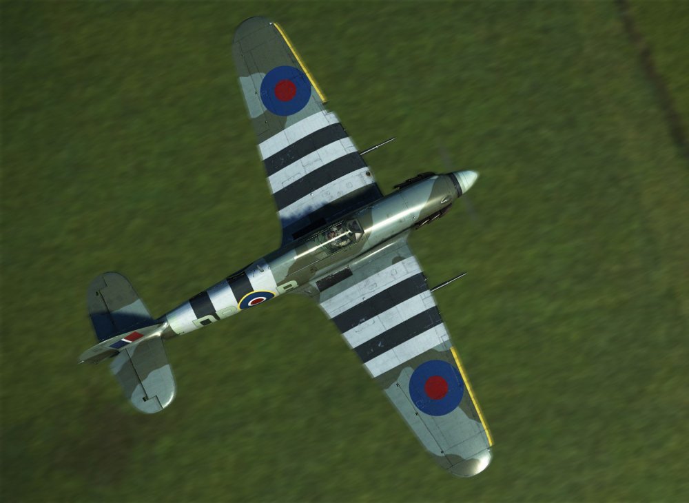 Spitfire Top.jpg