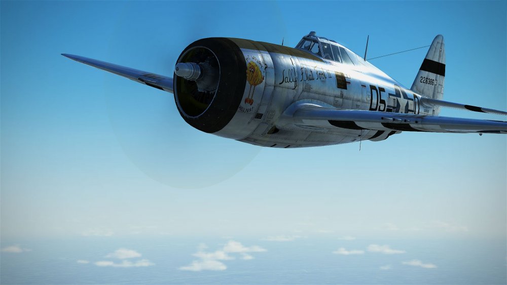 Razorbacks of the 365th Fighter group ------.jpg