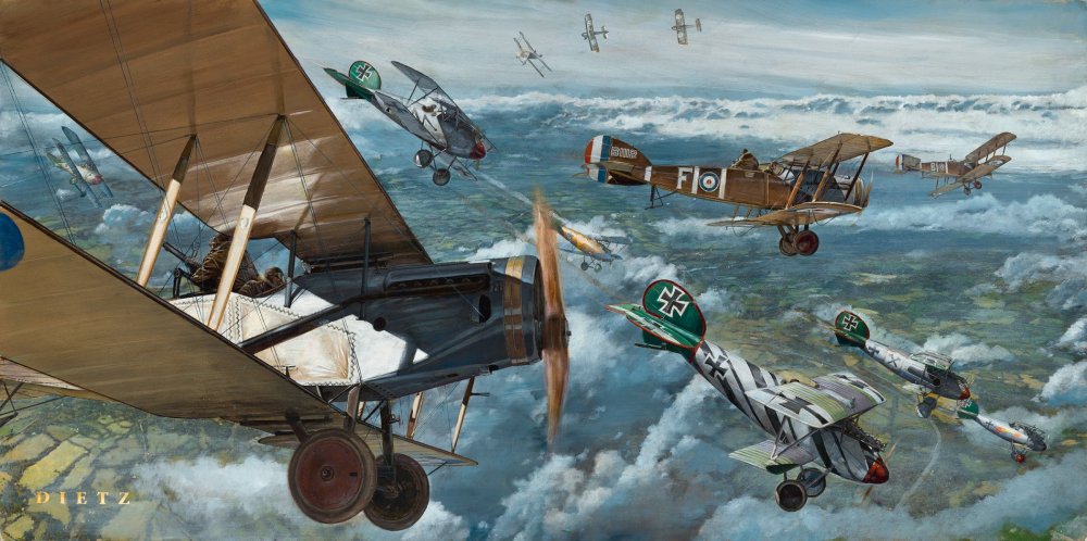 Falken Aus Himmel.jpg