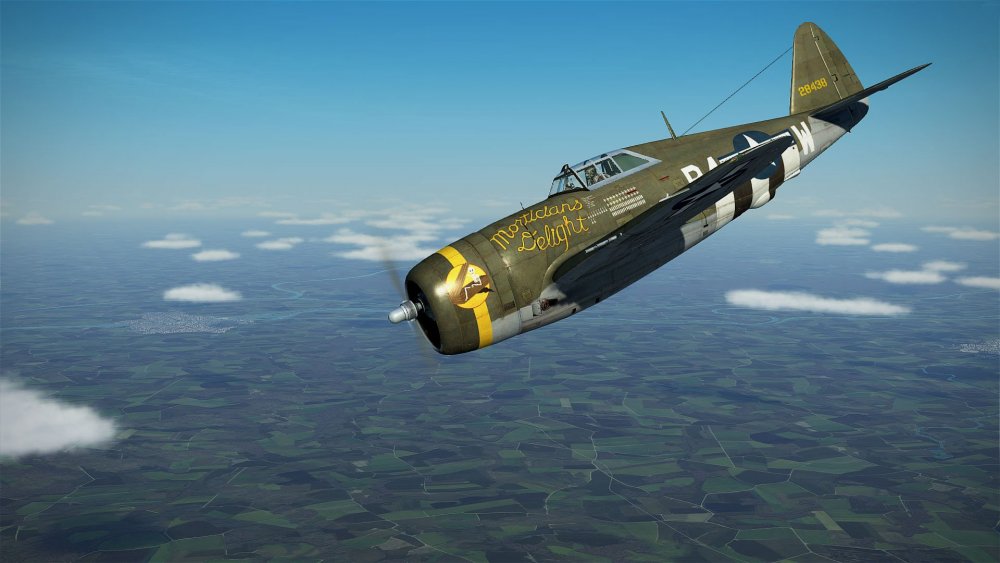 Razorbacks of the 365th Fighter group --.jpg