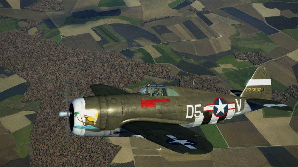 Razorbacks of the 365th Fighter group ----.jpg