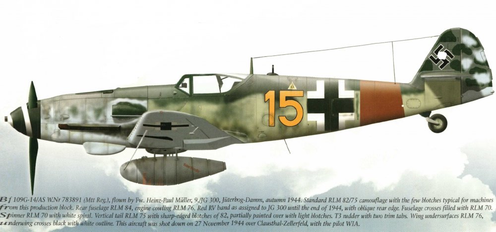 InkedBF-109G-10 _JG300_LI.jpg