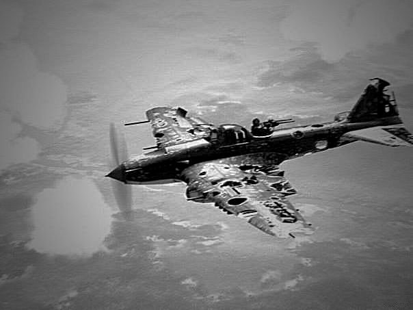 1803191247_Il-2damaged.jpg.8306daec04d3189218ec2fd0d6ccfd6f.jpg