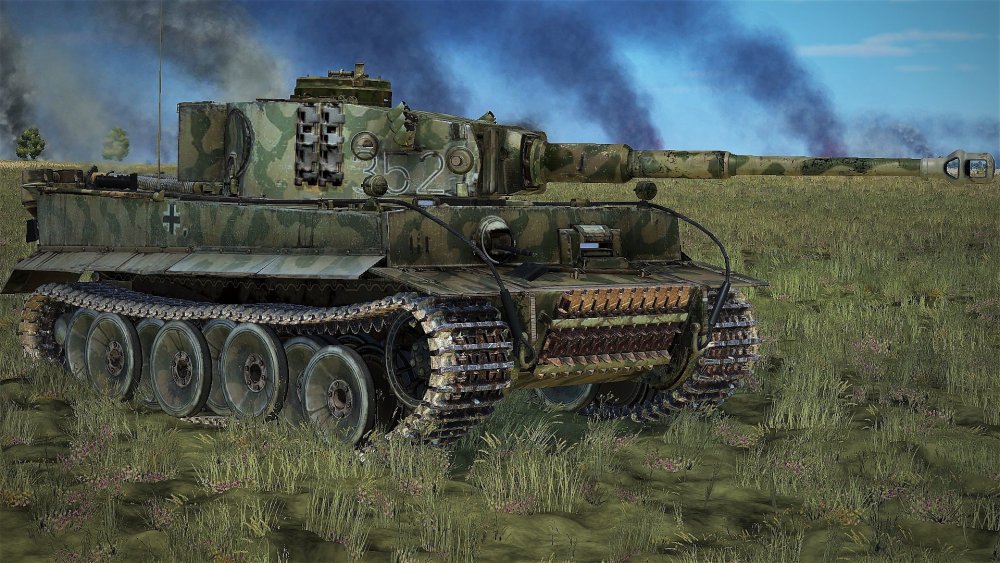 Tiger 3.jpg