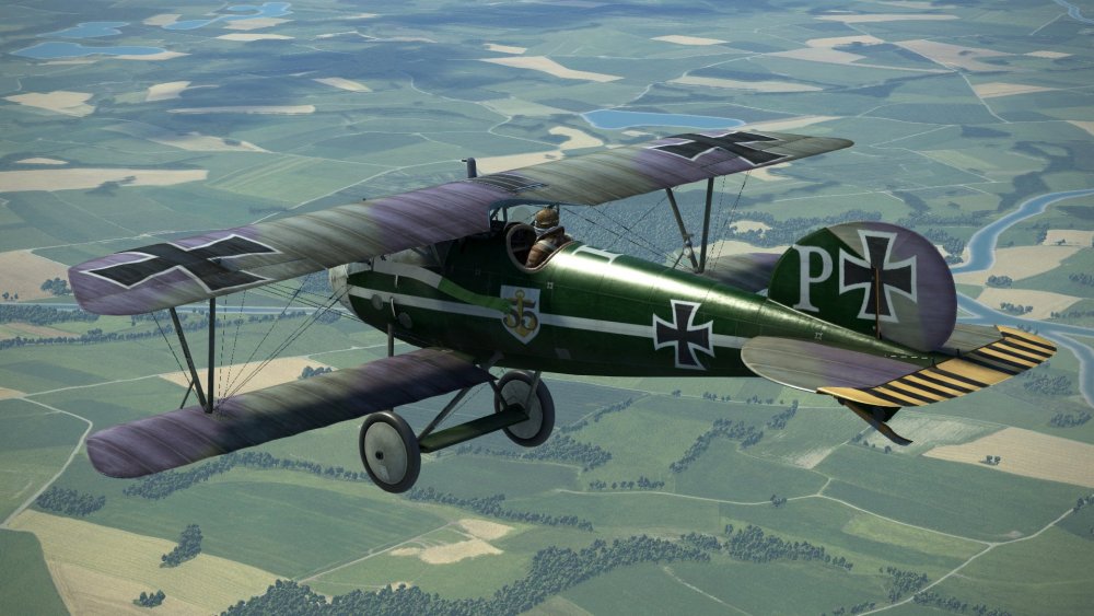 FC - Panther's AD5 with custom streamer.jpg