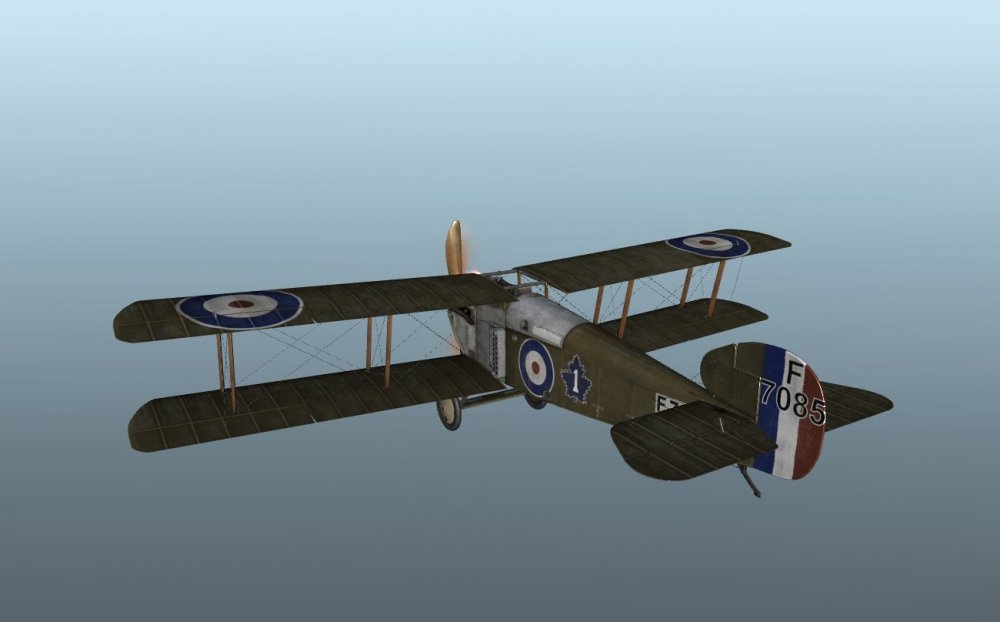 CAF1 Dophin 7085.jpg